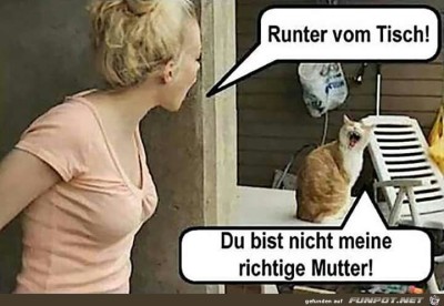 Runter-vom-Tisch.jpg von Reikru