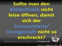 Kühlschrank leise öffnen