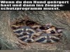 weiter