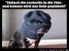 weiter