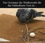Nest-fr-Faule.jpg auf www.funpot.net