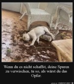 Er-ist-das-Opfer.jpg auf www.funpot.net