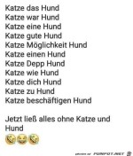 Katze-und-Hund.jpg auf www.funpot.net
