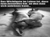 weiter