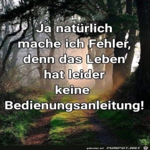 herz-Bild: Jeder macht Fehler