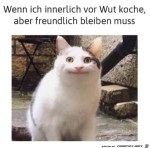 Wenn-ich-freundlich-bleiben-muss.jpg auf www.funpot.net