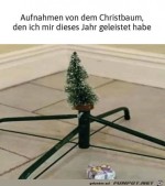 Was-fr-ein-stattlicher-Baum.jpg auf www.funpot.net