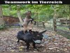 weiter
