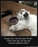 War-eine-harte-Woche.jpg auf www.funpot.net
