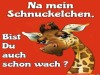 weiter