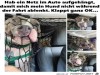 weiter