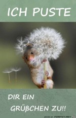 ein-Grchen.jpg auf www.funpot.net