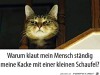 weiter
