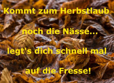 Nasse-Herbstlaub.png von Kollin