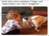 weiter