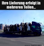 Lieferung-kommt-in-Teilen.jpg auf www.funpot.net