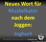Anderes-Wort-fr-Muskelkater.jpg auf www.funpot.net