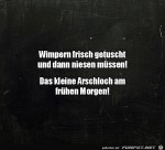 Die-kleine-Freude-am-Morgen.jpg auf www.funpot.net