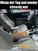 War-wohl-etwas-stressig.jpg auf www.funpot.net
