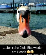 .....-ich-sehe-Dich.-Bist-wieder-am-Handy.jpg auf www.funpot.net