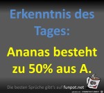 Tolle-Erkenntnis.jpg auf www.funpot.net