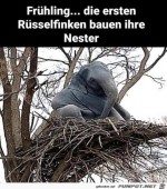 Frhling.jpg auf www.funpot.net