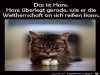 weiter