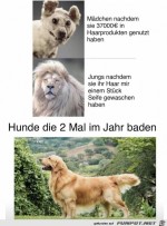 Haare-gewaschen.jpg auf www.funpot.net