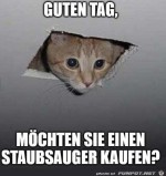 Hallo.jpg auf www.funpot.net