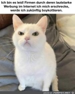 Bser-Blick.jpg auf www.funpot.net