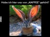weiter