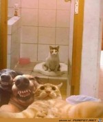 Lustiges-Tier-Selfie.jpg auf www.funpot.net