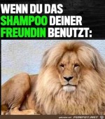 Neues-Shampoo-bentzt.jpg auf www.funpot.net