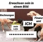 Erwachsen-sein.jpg auf www.funpot.net