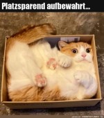 Da-pass-ich-rein.jpg auf www.funpot.net