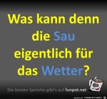 Die-Sau.jpg auf www.funpot.net