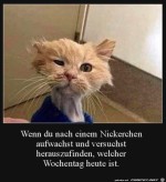 Bisschen-verblasen.jpg auf www.funpot.net