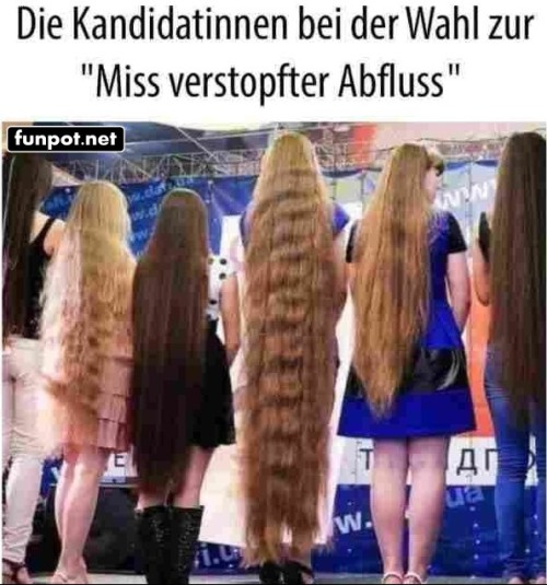 Wer-wird-die-nächste-'Miss-Haarpracht'?.jpg auf www.funpot.net
