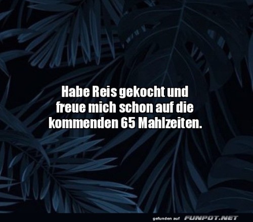 Reiskochen-für-die-Apokalypse.jpg auf www.funpot.net