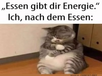 Energiegeladen? Eher Energierollig!