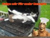 weiter