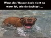 weiter