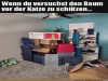 weiter