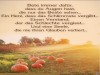 weiter