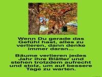 Wenn Du gerade das Gef�hl hast, alles zu verlieren