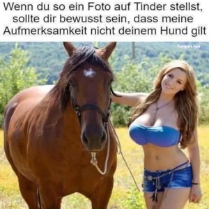 fun-Bild: Humor in Dating-App-Profilbildern