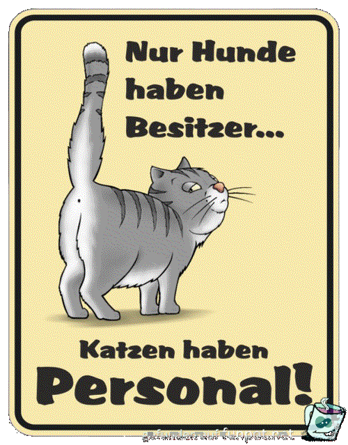 Hunde haben Besitzer, aber Katzen... Hunde haben Besitzer, aber Katzen...