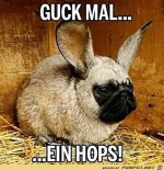 Ein-Hops.jpg auf www.funpot.net