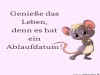 weiter