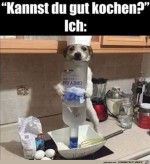 Alkohol-hilft-beim-Kochen.jpg auf www.funpot.net